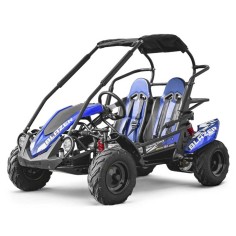 Buggy BLAZER 200 cc enfant 2 places version LUXE