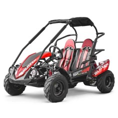 Buggy BLAZER 200 cc Rouge enfant 2 places version LUXE