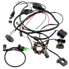 Faisceau complet / câblage électrique de Dirt bike / Pit bike APOLLO ORION AGB38 250 cc
